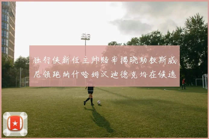 独行侠新任主帅赔率揭晓助教斯威尼领跑纳什哈姆汉迪德克均在候选之中